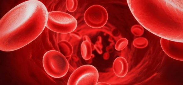 sangue: globuli rossi