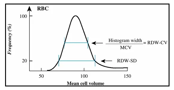 rdw-sd e rdw-cv in una curva gaussiana