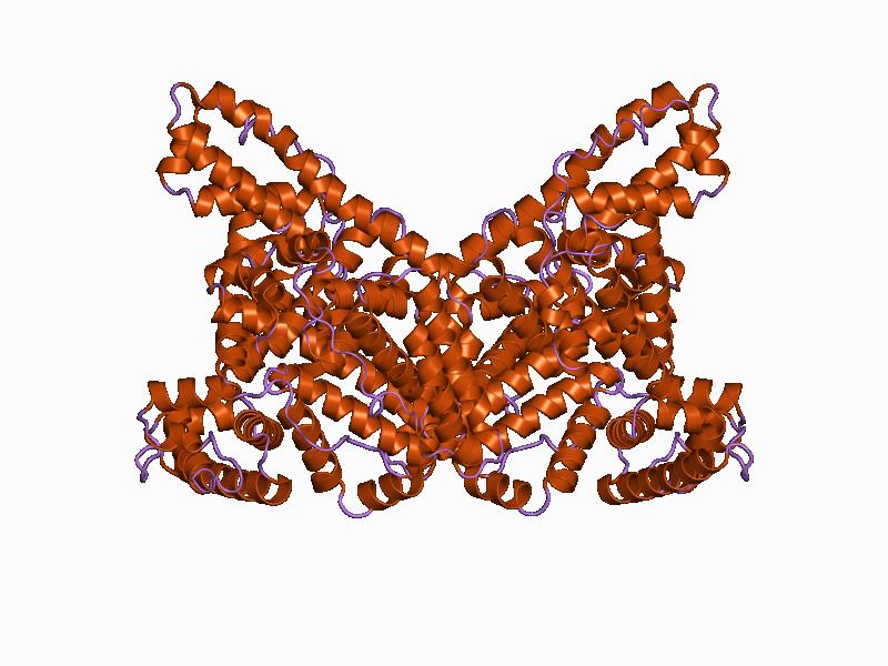 struttura proteina dell'albumina