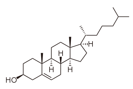 colesterolo