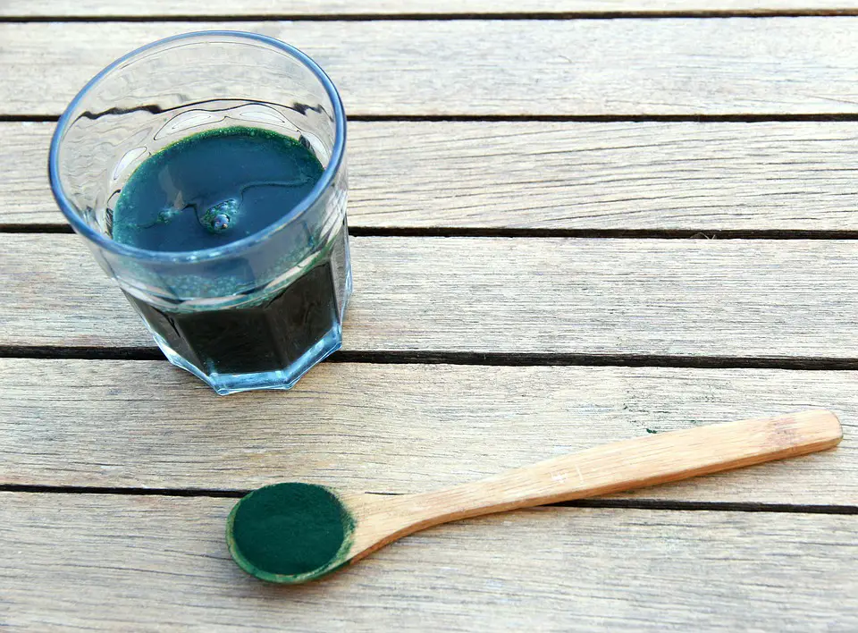 Spirulina