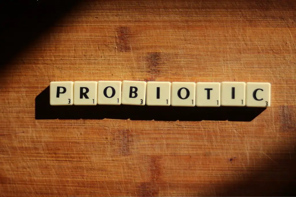Chocofit e probiotici