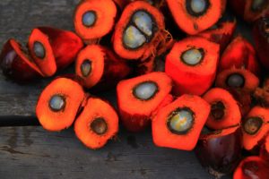 Frutto per olio di palma