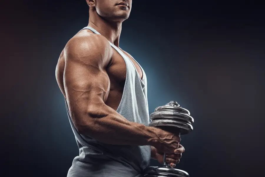 definizione muscoli